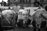 Napoli contro la politica di rifiuti